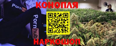 СК Комсомольск-на-Амуре